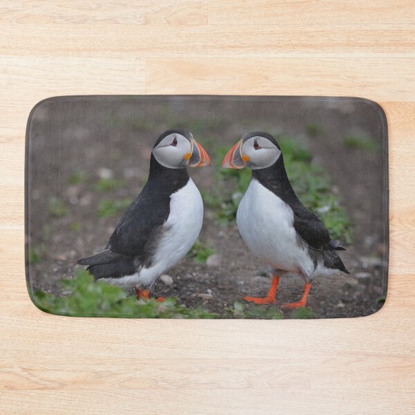 Item preview, Puffin Pair Getting Acquainted designed and sold by ClaireChown.