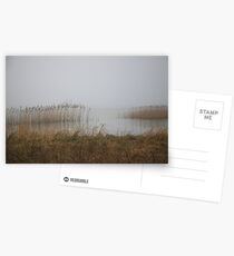 LAKE IN FOG Postcards