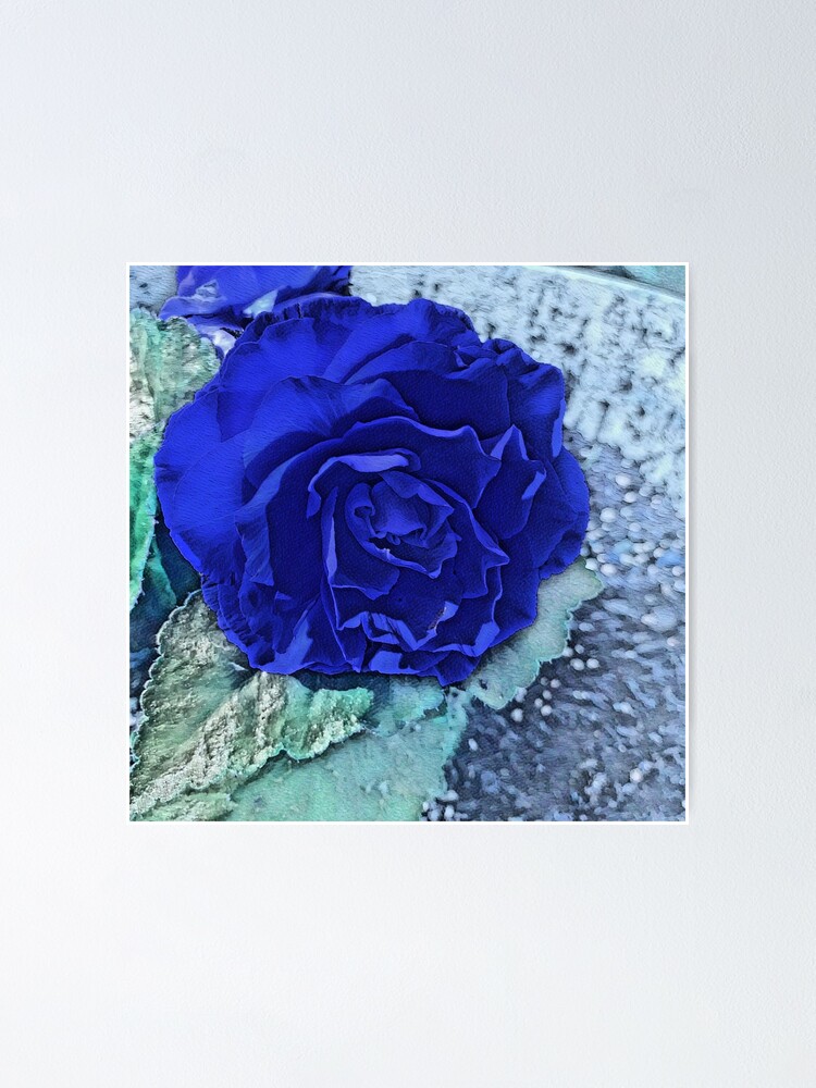 Póster «Begonia Acrílico Azul» de SunshineWalker | Redbubble