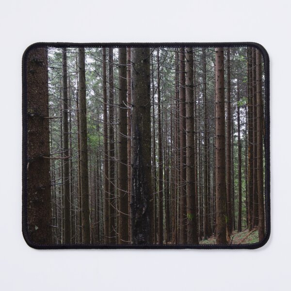 Item preview, Forest - Berchtesgaden Alps - Berchtesgaden designed and sold by xP42.