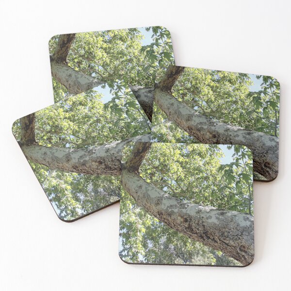 Item preview, Long Trunk designed and sold by heatherfriedman.