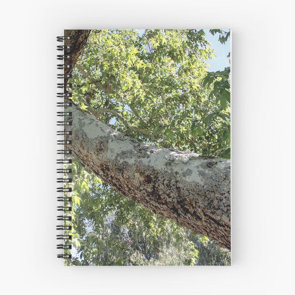 Item preview, Long Trunk designed and sold by heatherfriedman.