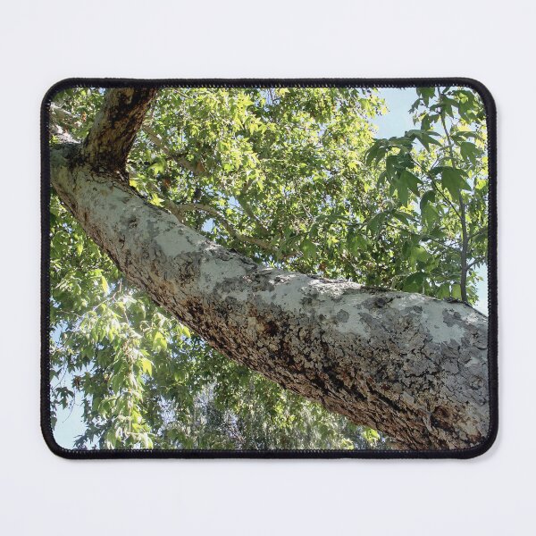 Item preview, Long Trunk designed and sold by heatherfriedman.