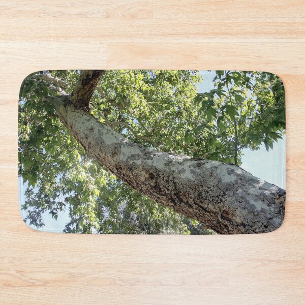 Item preview, Long Trunk designed and sold by heatherfriedman.
