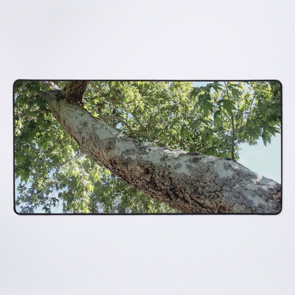 Item preview, Long Trunk designed and sold by heatherfriedman.