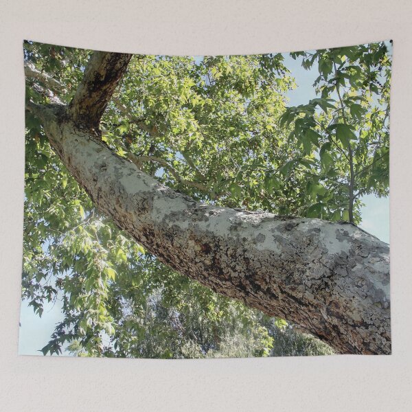 Item preview, Long Trunk designed and sold by heatherfriedman.
