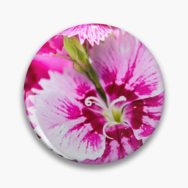 Item preview, Dianthus designed and sold by JEZ22.