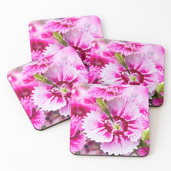 Item preview, Dianthus designed and sold by JEZ22.