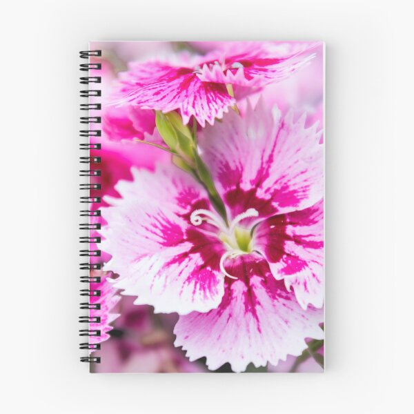 Item preview, Dianthus designed and sold by JEZ22.