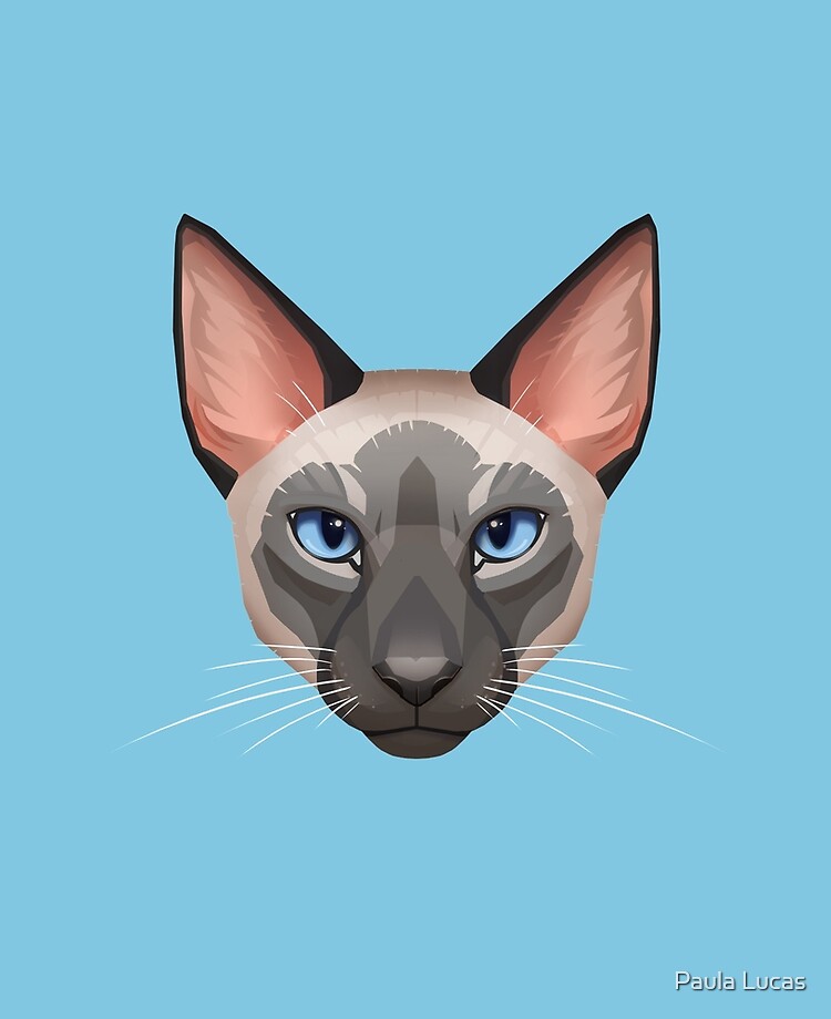 siamese cat face
