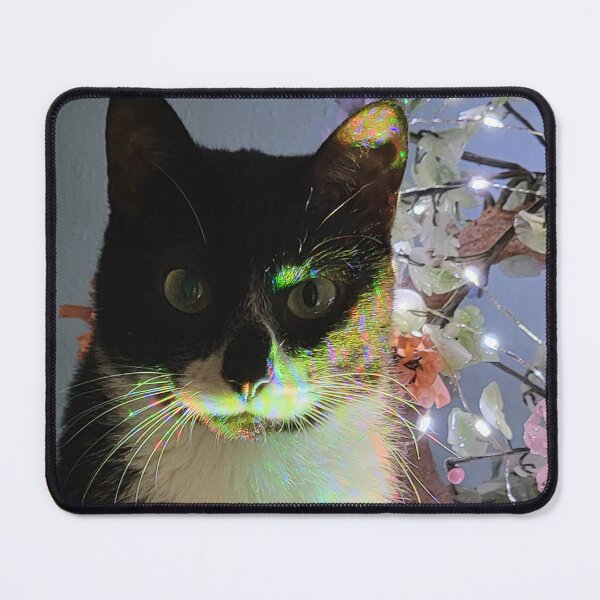 Item preview, Cute cat posing. designed and sold by imyournightmare.