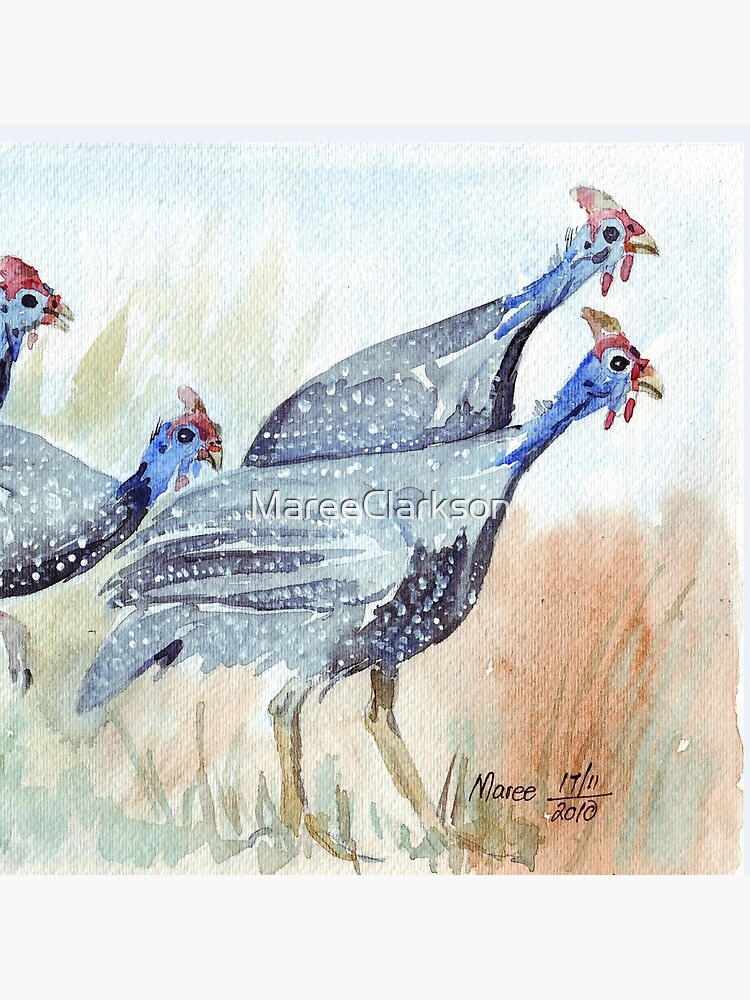 Guinea fowl in my garden by MareeClarkson