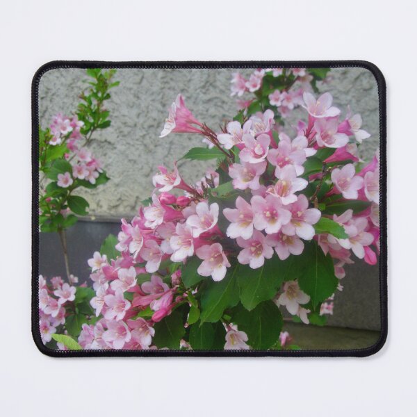 Item preview, Pink Flowers designed and sold by Shulie1.