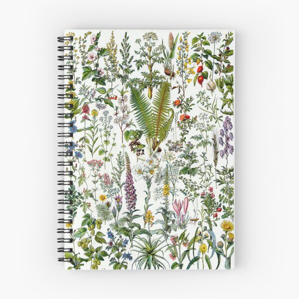 Item preview, Medinical Plants Vintage French Illustration - Millot Plantes Medicinales 1 designed and sold by molamode.