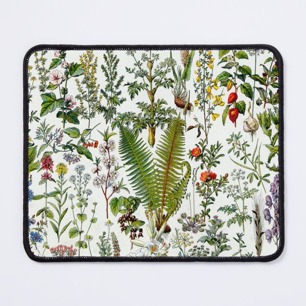 Item preview, Medinical Plants Vintage French Illustration - Millot Plantes Medicinales 1 designed and sold by molamode.