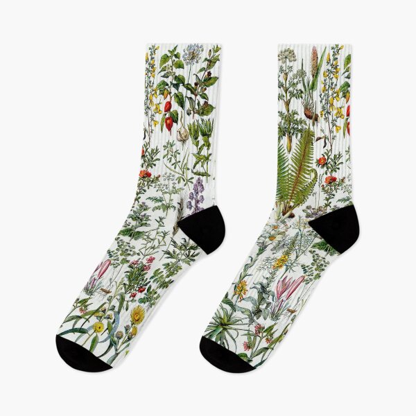 Item preview, Medinical Plants Vintage French Illustration - Millot Plantes Medicinales 1 designed and sold by molamode.