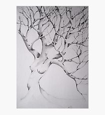 women tree Photographic Print