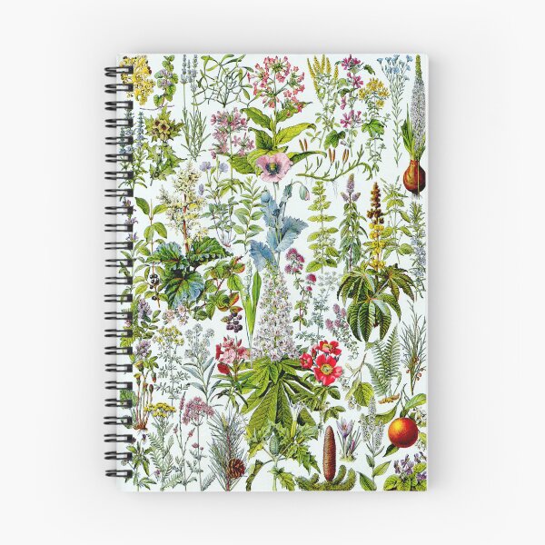 Item preview, Medinical Plants Vintage French Illustration - Millot Plantes Medicinales 2 designed and sold by molamode.