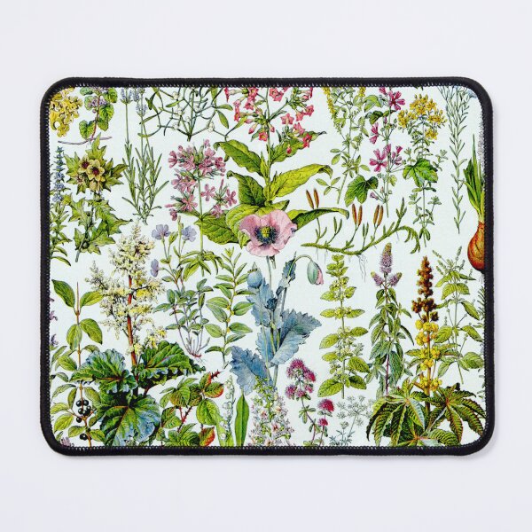 Item preview, Medinical Plants Vintage French Illustration - Millot Plantes Medicinales 2 designed and sold by molamode.