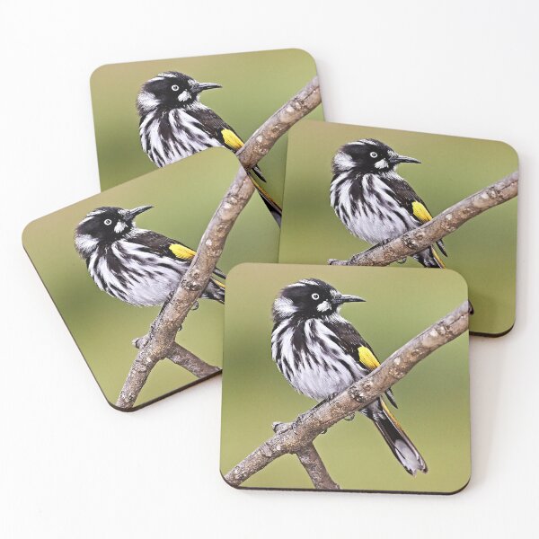 Item preview, New Holland Honeyeater designed and sold by Robert Elliott.
