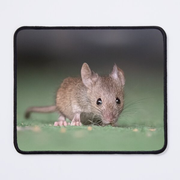 Item preview, Little mouse designed and sold by Eivor Kuchta.