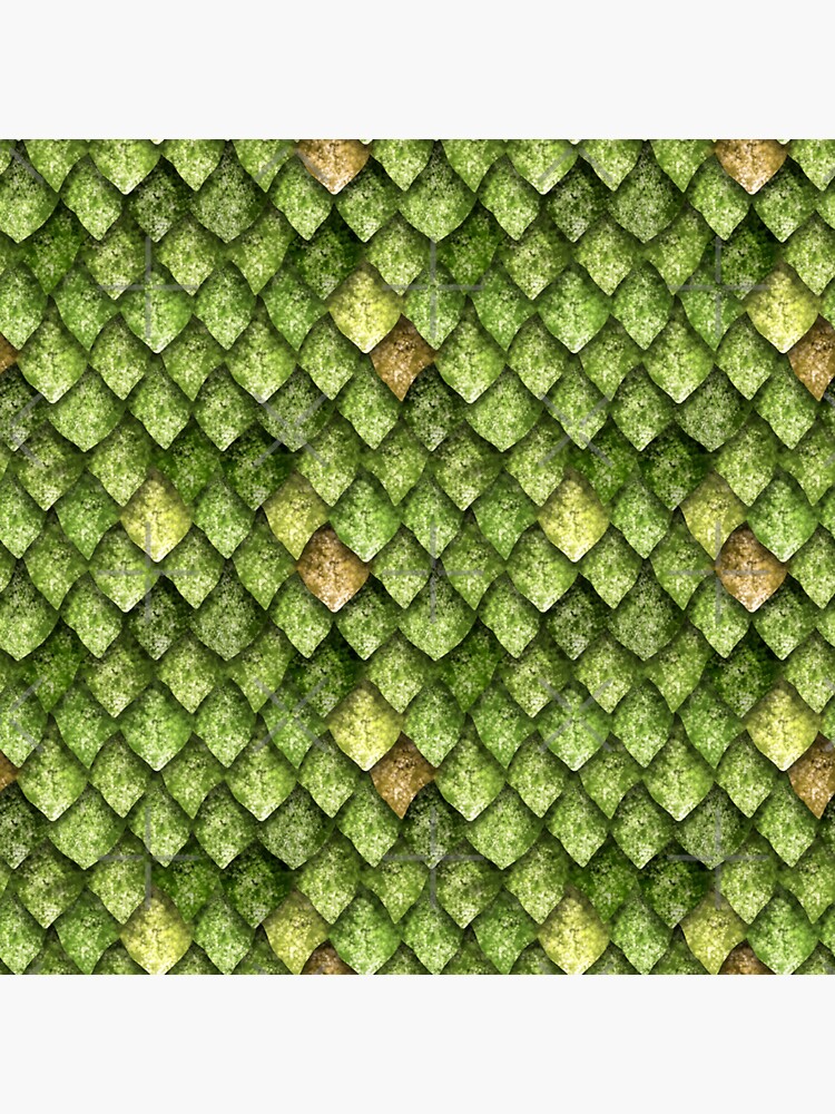 "dragon scale shirtdragon sclae pattern armor dragon scale costume