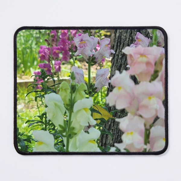 Item preview, Snapdragons designed and sold by David D. Shaw.