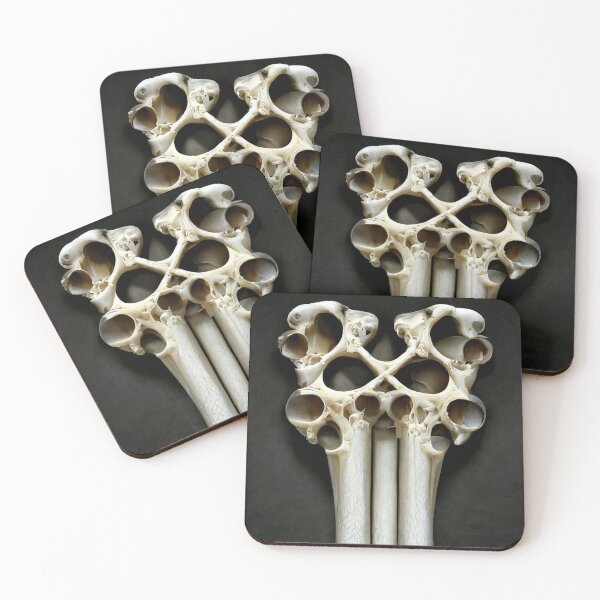 Item preview, Bone #1 | Fractal | Pattern | Psychedelic | Aesthetic Design designed and sold by lrjtucker.