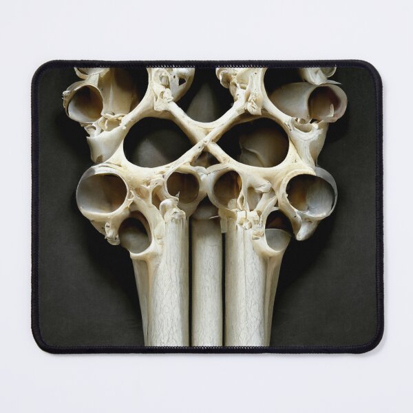 Item preview, Bone #1 | Fractal | Pattern | Psychedelic | Aesthetic Design designed and sold by lrjtucker.
