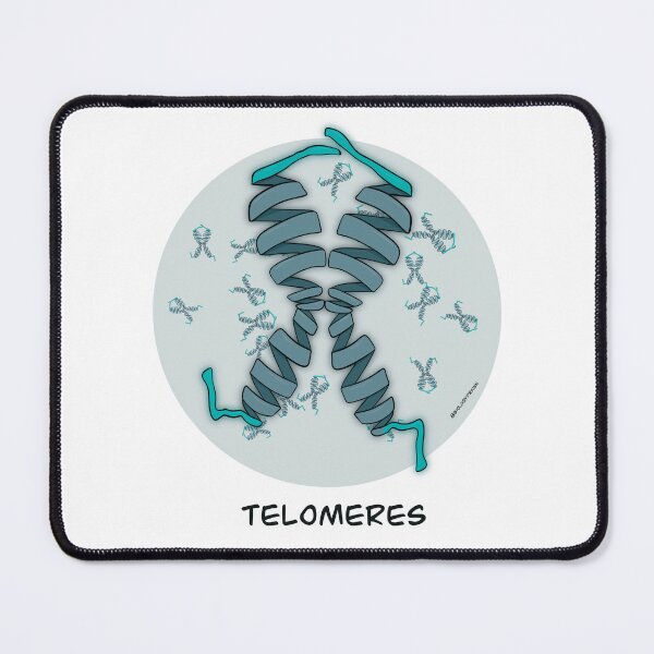 Item preview, DNA telomeres designed and sold by BiologyDrawn.