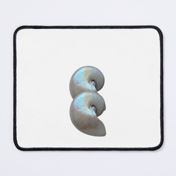 Item preview, Nautilus Shells designed and sold by boomantique.