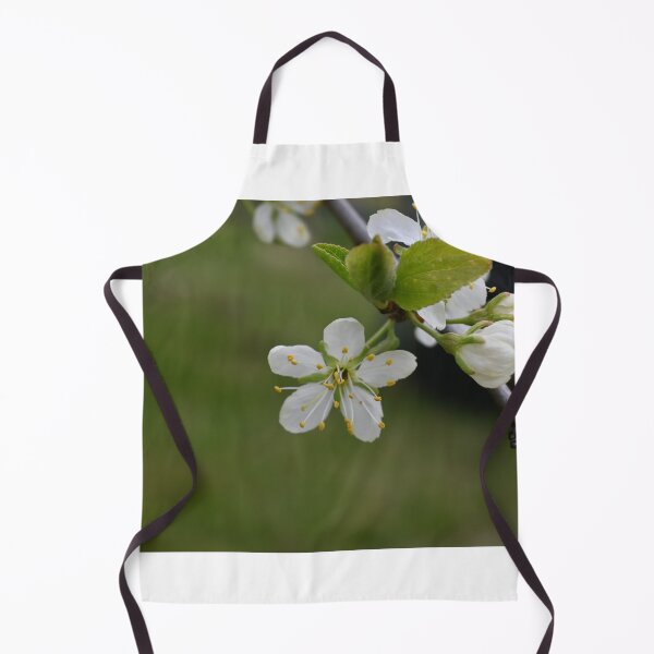 Item preview, Closeup of cherry blossom designed and sold by jazzy-bird.