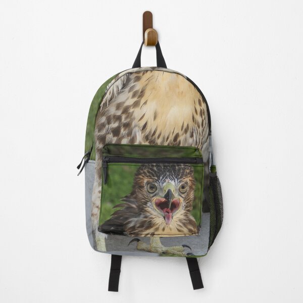 Item preview, Broad Winged Hawk  designed and sold by heatherfriedman.