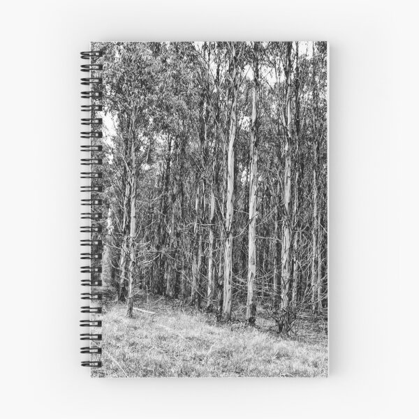 Item preview, Tall Tasmanian timber. designed and sold by Ian Ramsay.