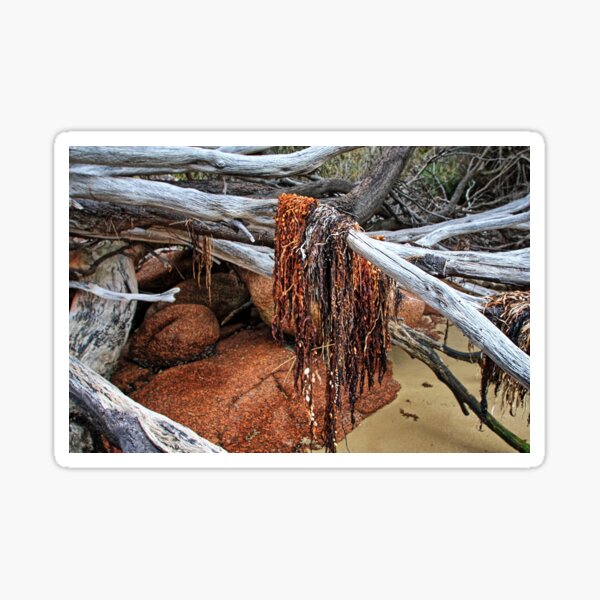 Item preview, Freycinet National Park - seaweed. designed and sold by Ian Ramsay.