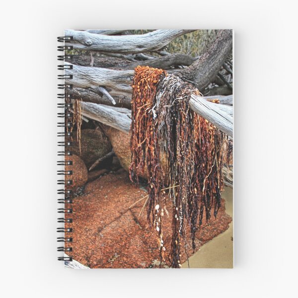 Item preview, Freycinet National Park - seaweed. designed and sold by Ian Ramsay.