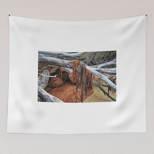 Item preview, Freycinet National Park - seaweed. designed and sold by Ian Ramsay.