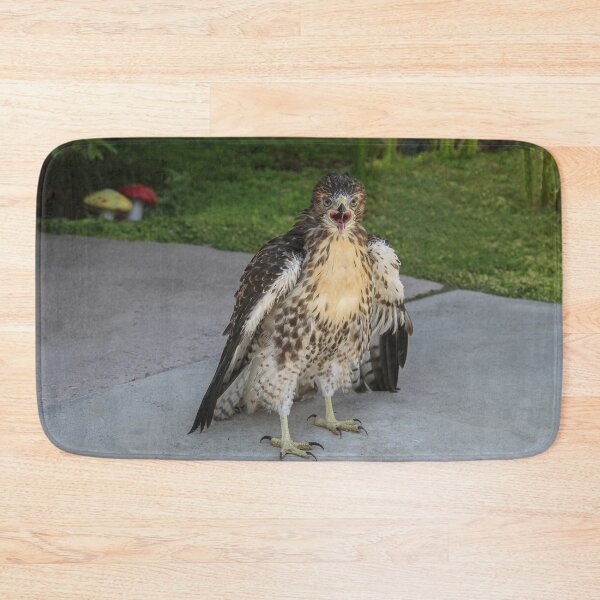 Item preview, Broad Winged Hawk  designed and sold by heatherfriedman.