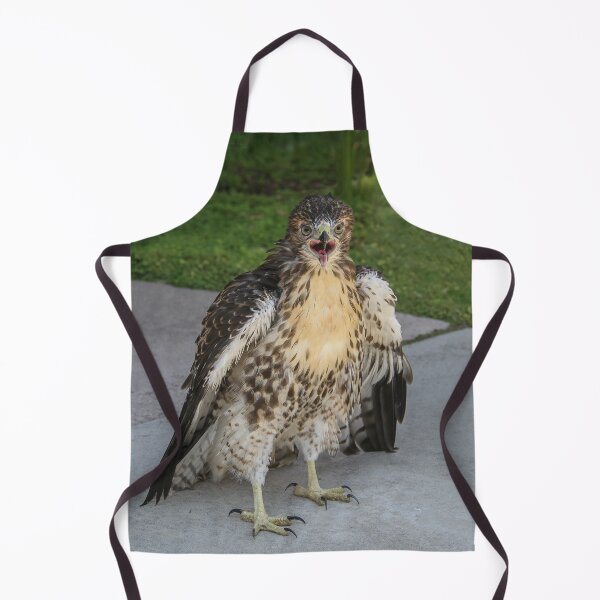 Item preview, Broad Winged Hawk designed and sold by heatherfriedman.