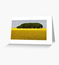 1481 Trees in canola Field Greeting Card
