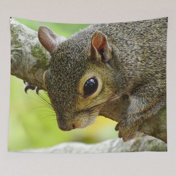 Item preview, Cute Squirrel #0002 designed and sold by Jeffrey Mask.