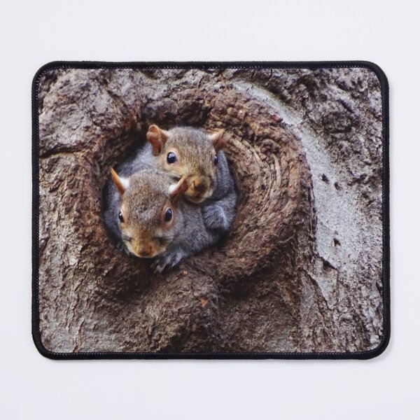 Item preview, Cute Squirrels #0003 designed and sold by Jeffrey Mask.