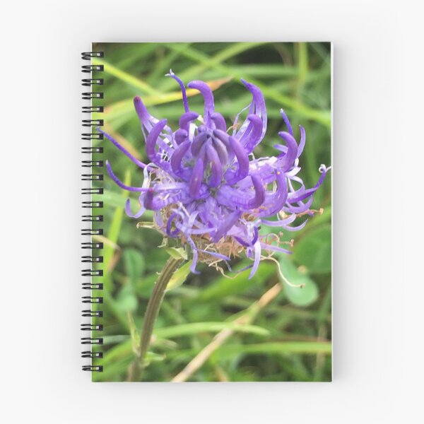 Item preview, Rampion on the South Downs in Sussex  designed and sold by Emma  Amies.