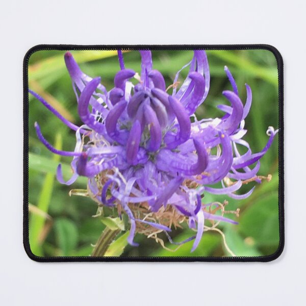 Item preview, Rampion on the South Downs in Sussex  designed and sold by Emma  Amies.