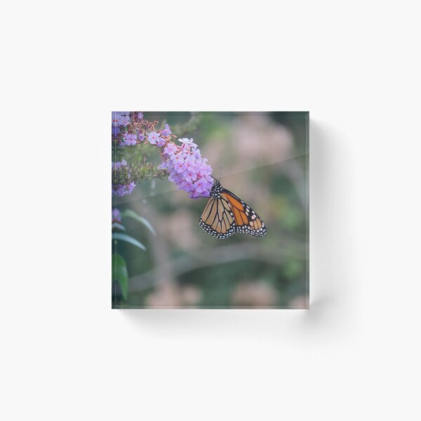 Item preview, Monarch on a butterfly bush designed and sold by DEHeadHugger.