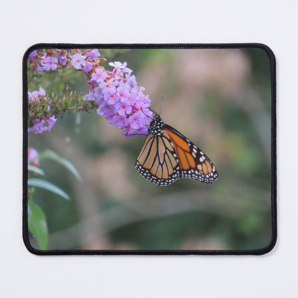 Item preview, Monarch on a butterfly bush designed and sold by DEHeadHugger.