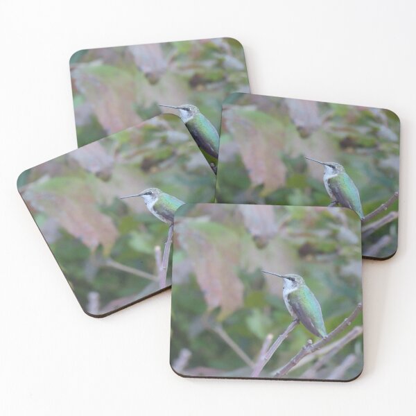 Item preview, Hummingbird resting on a twig designed and sold by DEHeadHugger.
