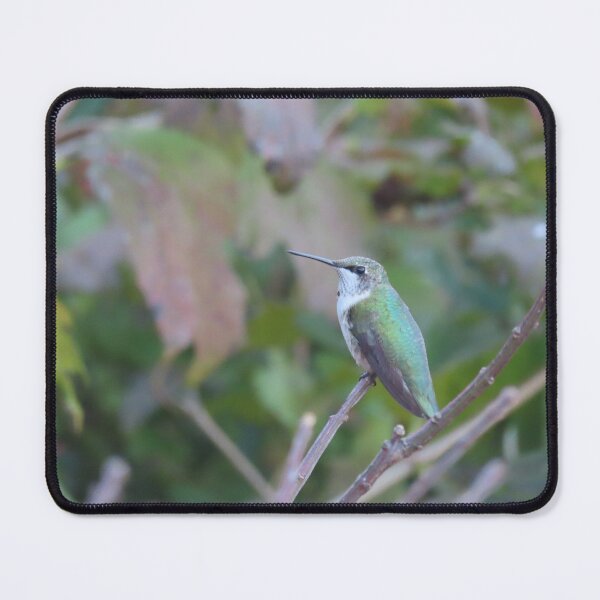 Item preview, Hummingbird resting on a twig designed and sold by DEHeadHugger.