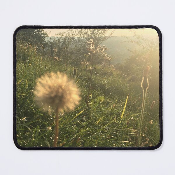 Item preview, Chalk grassland seedhead at dusk designed and sold by Emma  Amies.