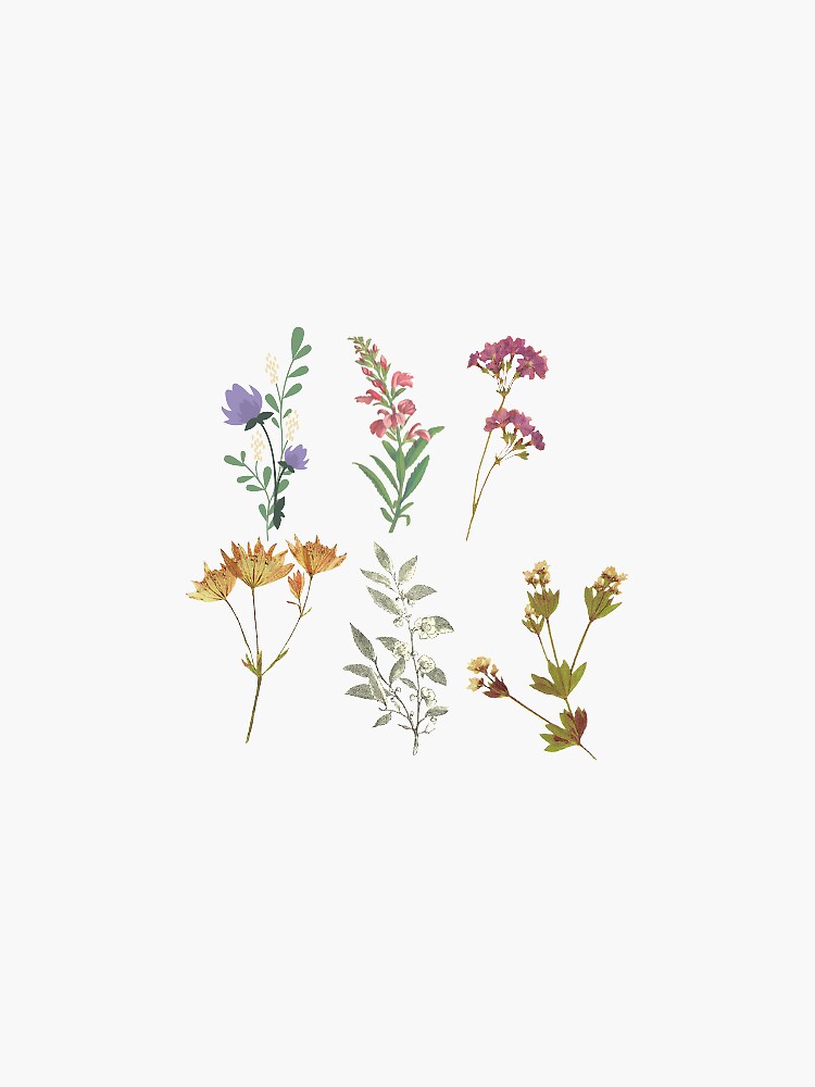 Dainty Lil Flowers Vinyl